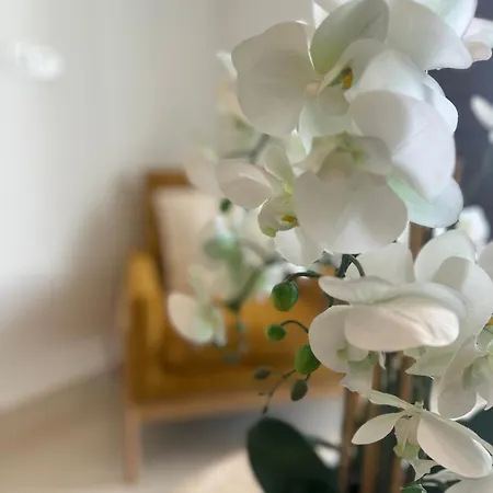 アパートホテル Santa Barbara Sea Front And 4*